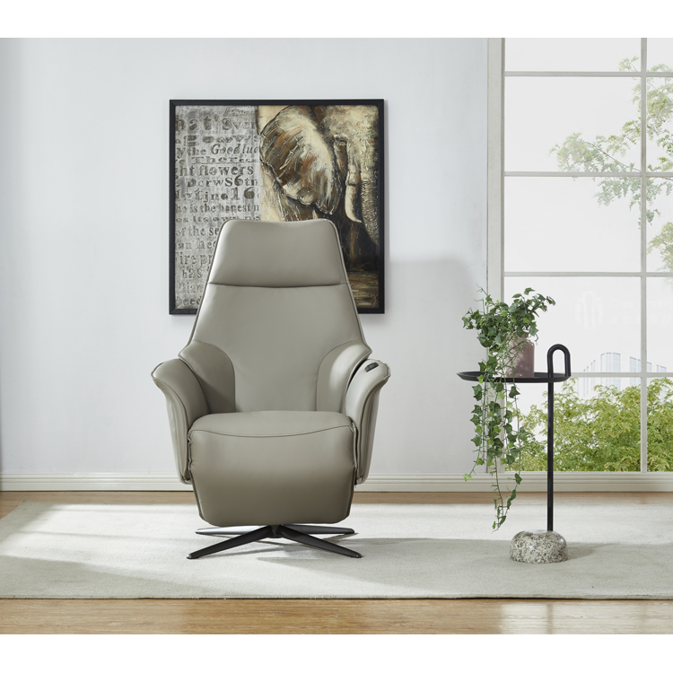 Recliner Chair ZY001