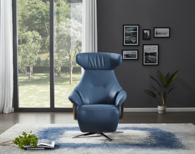 Recliner Chair ZY003