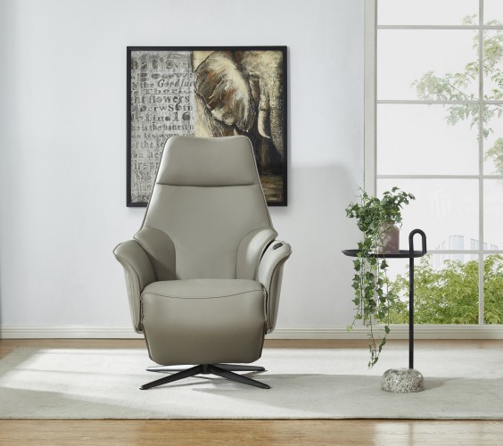 Recliner Chair ZY009